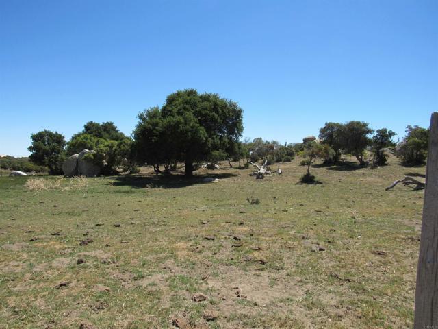 Detail Gallery Image 4 of 47 For 200 Acres Mccain Valley Rd, Boulevard,  CA 91905 - – Beds | – Baths