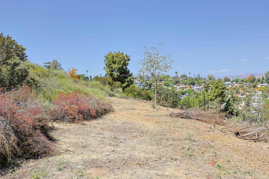 MLS #PTP2503540 img 14