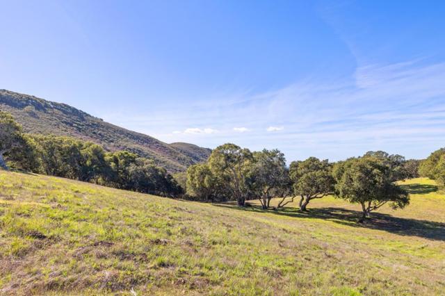 8425 Alta Tierra (Lot 66), Carmel CA: https://media.crmls.org/mediaz/32f0b8ff-bf49-4483-8e12-f6d600590c54.jpg