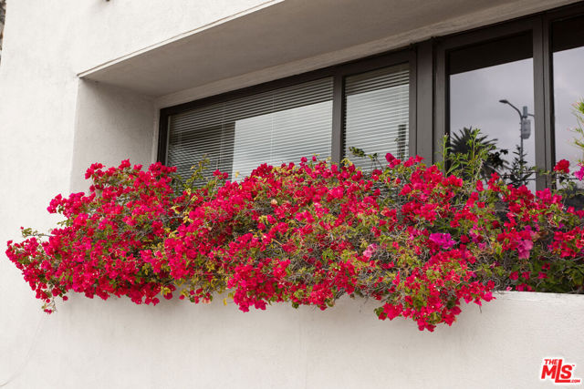  Commercial for Sale in Los Angeles, California
