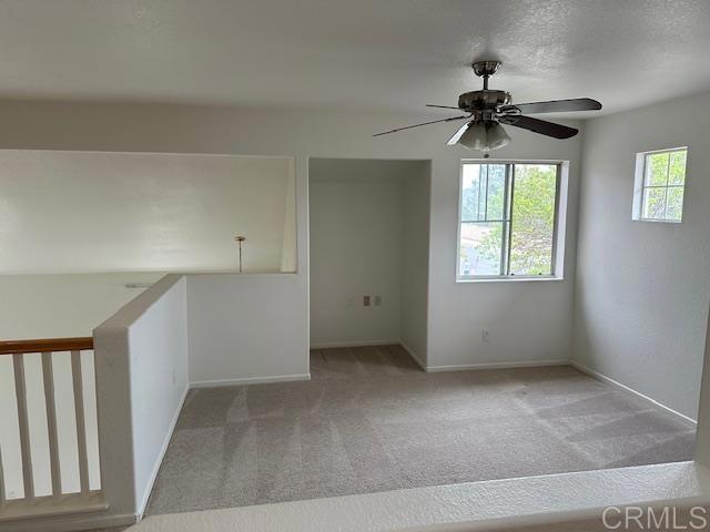 4926 Almondwood Way - photo 11