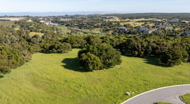 8170 Manjares (Lot 135), Monterey CA: https://media.crmls.org/mediaz/33092444-3dfb-40a8-aba5-24a2be2b21ba.jpg