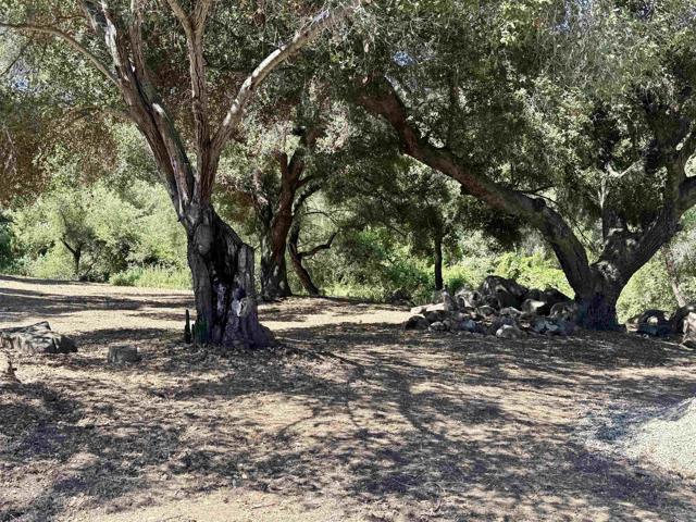 30408 Lennie Dr, Valley Center CA: https://media.crmls.org/mediaz/33244a17-ee00-4d7e-adbe-05fe5d61aed3.jpg