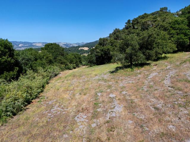 4 Holding Field Run, Carmel CA: https://media.crmls.org/mediaz/333221ca-dd62-46c6-bd9d-cd4ceee5ae59.jpg