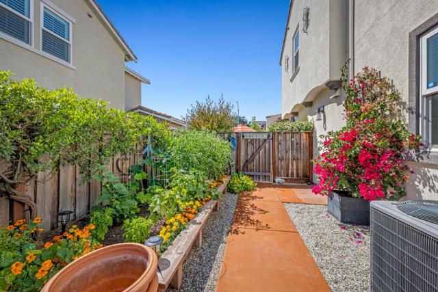 250 Calle Del Rey, Morgan Hill CA: https://media.crmls.org/mediaz/334752b3-639b-4d37-b611-c7d9890e9053.jpg
