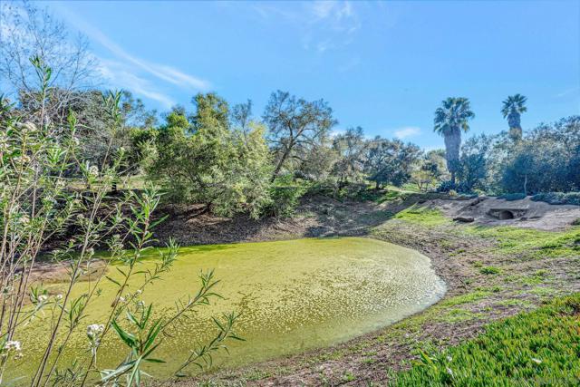 1761 Winterwarm Dr, Fallbrook CA: https://media.crmls.org/mediaz/33489a5b-c722-433a-83ff-f13d6d5865e5.jpg