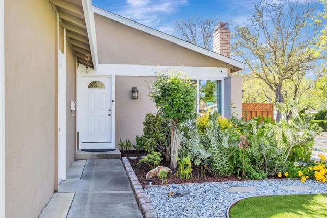 305 Vineyard Drive, San Jose CA: https://media.crmls.org/mediaz/33533f67-b1c2-4437-8eca-d5cac756c772.jpg
