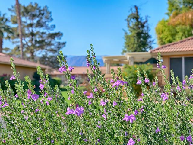 82550 Delano Drive, Indio CA: https://media.crmls.org/mediaz/33535dc0-bbaa-4cfd-b81c-1e3f2f770afc.jpg