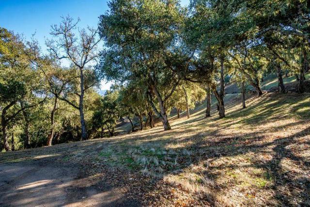 17114 Cachagua Road, Carmel Valley CA: https://media.crmls.org/mediaz/3360a5a3-af72-4fc1-9474-7e5274282add.jpg