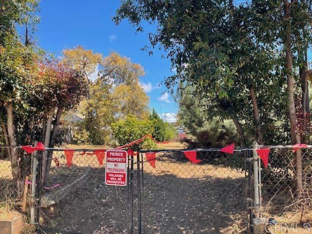 3328 Roosevelt Street - photo 6