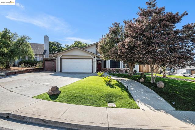 80 Mandeville Ct, Oakley CA: https://media.crmls.org/mediaz/33720864-e50f-46ce-8ee3-f9a5960a3bfa.jpg