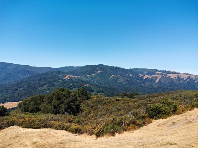 57 Chamisal, Carmel CA: https://media.crmls.org/mediaz/3379669a-5672-40f2-8cb5-d322d14a81b5.jpg