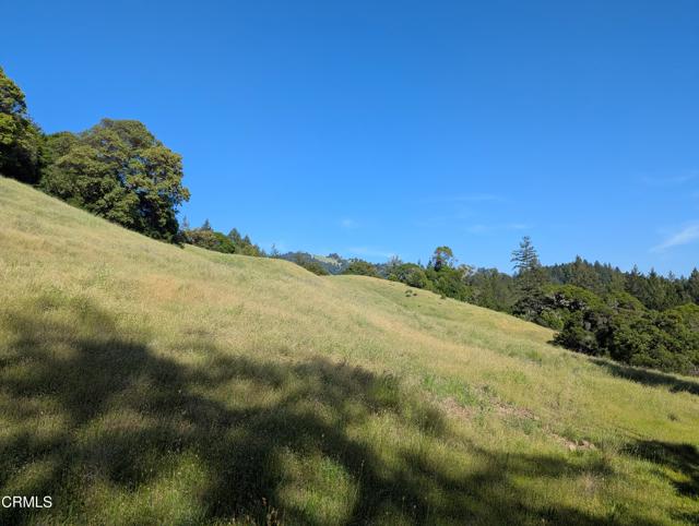 Detail Gallery Image 41 of 49 For 22346 Rickard Ranch Rd, Point Arena,  CA 95468 - – Beds | – Baths