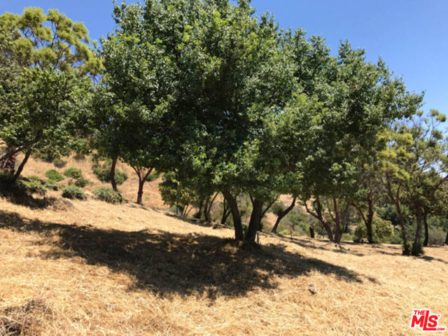 Drew Fenton | 524 Moonrise Malibu CA | MLS: 7289796 Drew Fenton | 524 Moonrise Malibu CA | MLS: 7289796