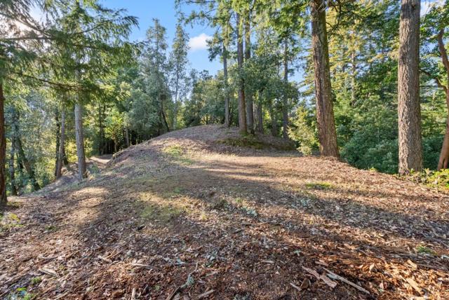 0 Allen, Woodside CA: https://media.crmls.org/mediaz/33803583-2973-425e-897e-04fec82603b0.jpg