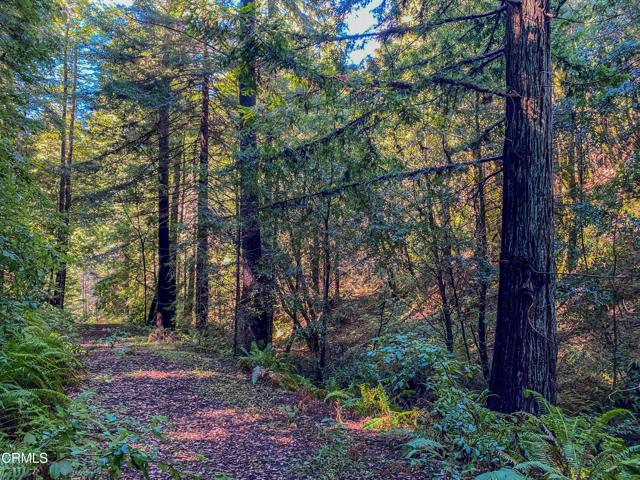 0 Irmulco Road, Willits CA: https://media.crmls.org/mediaz/33861b99-4014-45b3-8619-54b03ee18be1.jpg