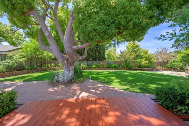 14904 Cole Drive, San Jose CA: https://media.crmls.org/mediaz/338beaf6-b243-479c-9cdb-2d8d2de83a07.jpg
