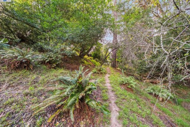 7171 HOMEWOOD DRIVE, Oakland CA: https://media.crmls.org/mediaz/338f3fe0-93e3-488b-85d2-b83f886a9cae.jpg