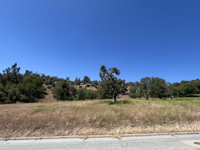 0 Jacks Hill Road, Tehachapi CA: https://media.crmls.org/mediaz/339ba94e-c18d-449a-9d0d-1be720d9390b.jpg
