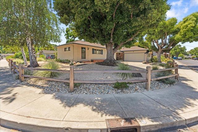 1300 Patio Drive, Campbell CA: https://media.crmls.org/mediaz/339d7dc9-41cb-4458-afd6-79f5680e33fd.jpg