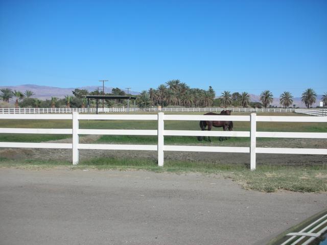 Image 8 of 39 For 58491 Jackson Street