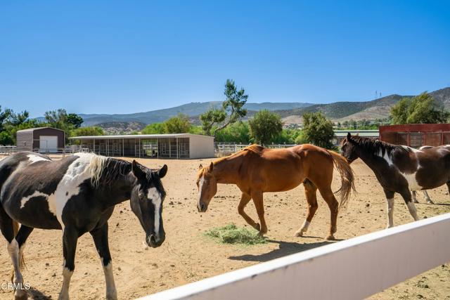 35135 Caprock Road, Santa Clarita CA: https://media.crmls.org/mediaz/33a4d0b6-1d8a-4030-9b93-100fdb768dc7.jpg