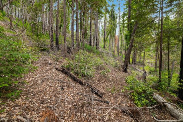 3 Bloom Grade, Boulder Creek CA: https://media.crmls.org/mediaz/33aa9d94-5b12-4945-8887-a64084df36a8.jpg