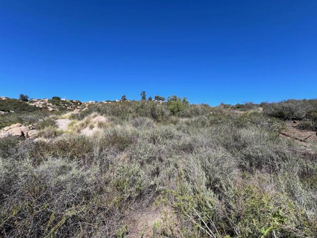 0 Wildcat Canyon Road, Lakeside CA: https://media.crmls.org/mediaz/33adff78-7c03-4348-92a2-ebc285f26e98.jpg