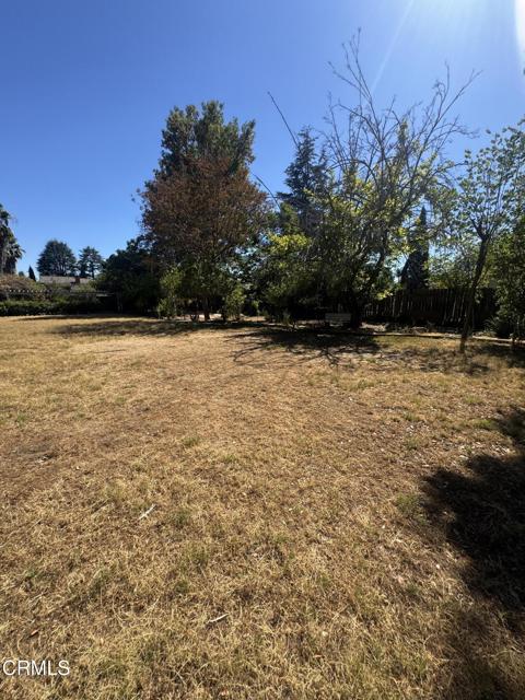 238 W Le Roy Avenue, Arcadia CA: https://media.crmls.org/mediaz/33aecbd5-67a7-486a-a0a1-cf4422880843.jpg