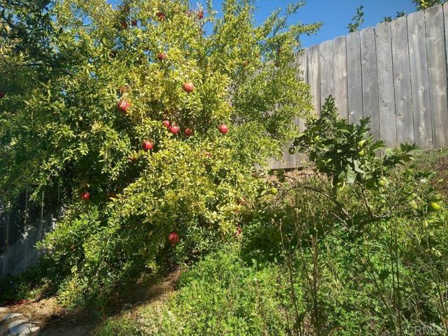 Detail Gallery Image 34 of 36 For 466 via Arboles, San Marcos,  CA 92069 - 3 Beds | 2 Baths