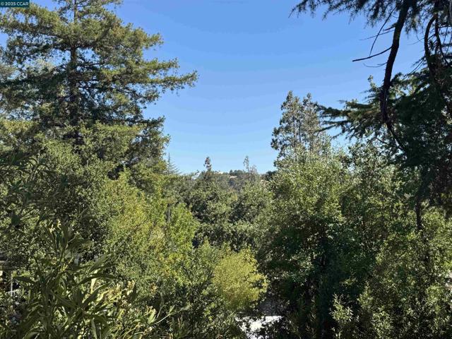 919 Janet Ln, Lafayette CA: https://media.crmls.org/mediaz/33b94597-66c1-48a8-9526-458c83bdda01.jpg