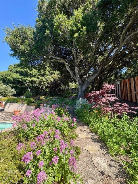 42 Upper Circle, Carmel Valley CA: https://media.crmls.org/mediaz/33caffd7-ce53-40a4-a115-a87e60160a60.jpg