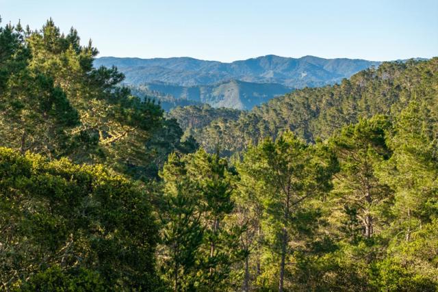 7925 Cinquenta (Lot 97), Carmel CA: https://media.crmls.org/mediaz/33ddc507-8694-4295-b59a-a29ba171a412.jpg