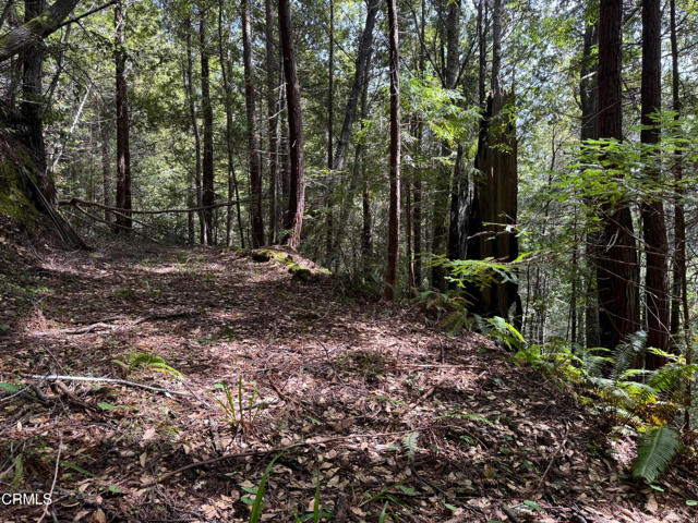 Detail Gallery Image 26 of 41 For 23501 Branscomb Rd, Westport,  CA 95488 - – Beds | – Baths