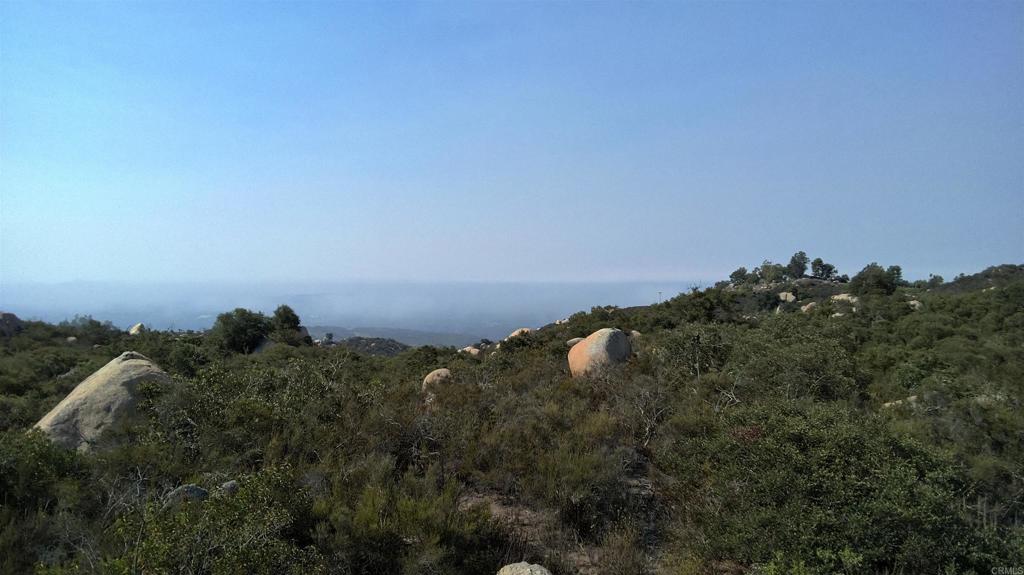 MLS #NDP2509006 image #12