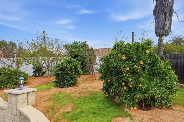 Detail Gallery Image 22 of 48 For 1668 1672 Spanish Oak Pl, El Cajon,  CA 92019 - 9 Beds | 5 Baths