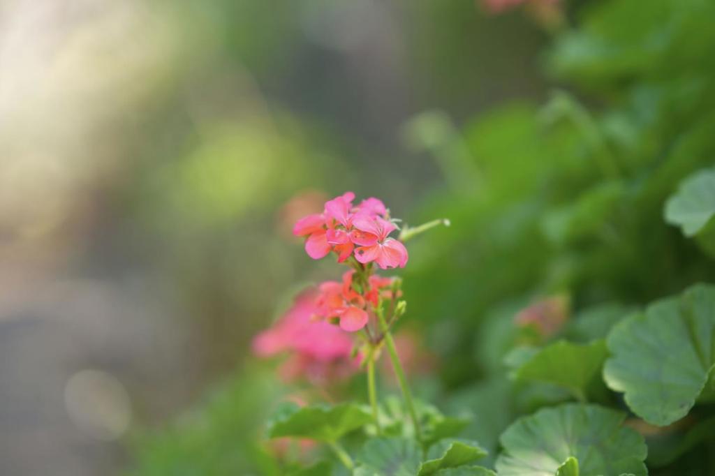 https://media.crmls.org/mediaz/340bd6de-4d70-4eb7-9e36-fecb4e83d099.jpg?preset=X-Large
