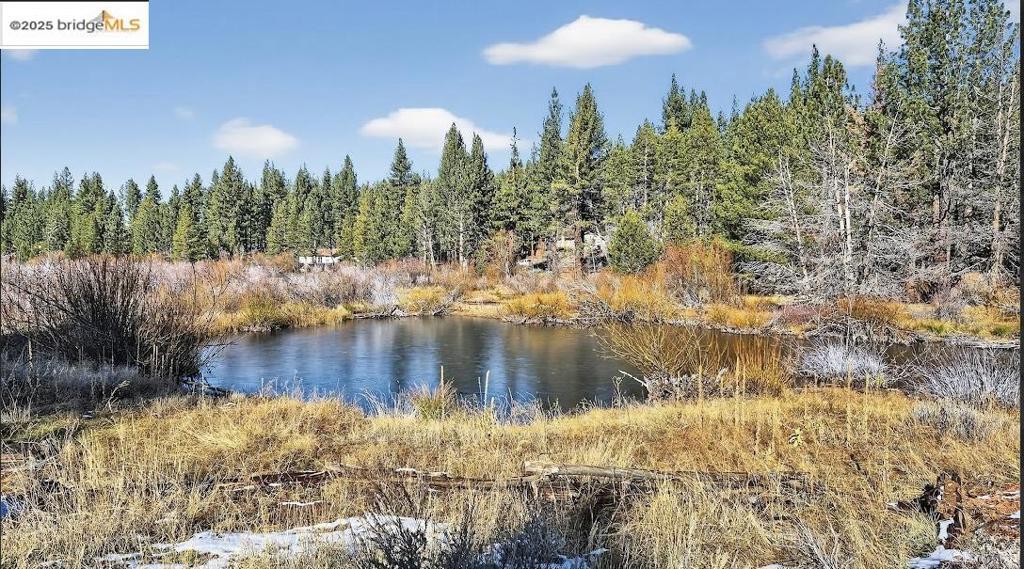 MLS #41118169 image #46