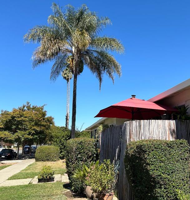 494 Greendale Way, San Jose CA: https://media.crmls.org/mediaz/341668c1-a02d-4821-b5e5-d2475a2fcdbc.jpg