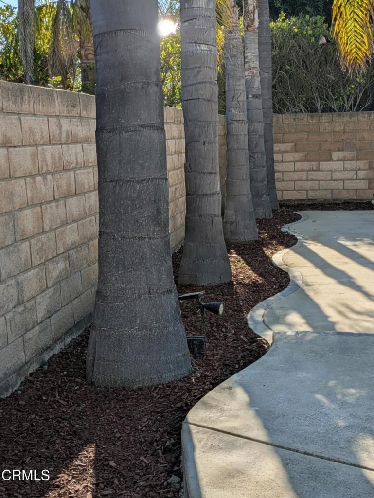 MLS #V1-33555 image #7