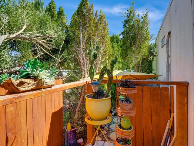 7 Ocotillo Lane, Palm Desert CA: https://media.crmls.org/mediaz/341ec25d-d8ff-480d-9d27-69777f299632.jpg