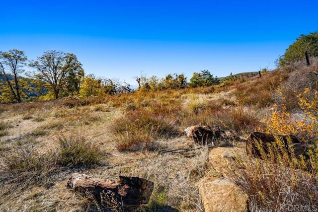 Detail Gallery Image 10 of 33 For 0 State Park Rd, Palomar Mountain,  CA 92060 - – Beds | – Baths