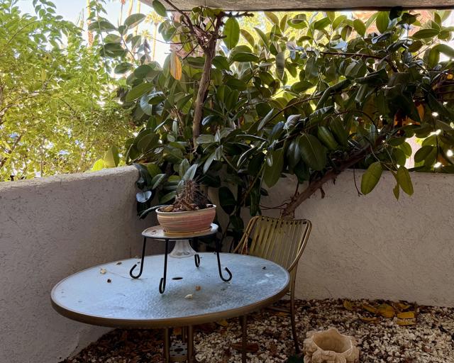 5301 E Waverly Dr., Palm Springs CA: https://media.crmls.org/mediaz/342510ce-b74f-4f75-8b43-54a9f8d1715d.jpg