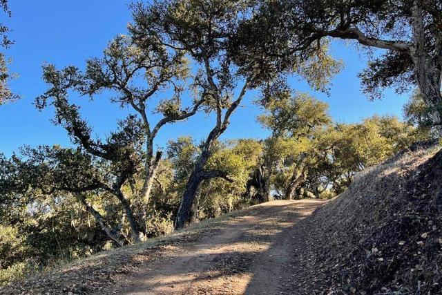 17114 Cachagua Road, Carmel Valley CA: https://media.crmls.org/mediaz/3437543c-3457-46f2-ab0e-af3d3eae69e4.jpg
