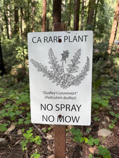0 Slate Creek Rd., La Honda CA: https://media.crmls.org/mediaz/343c9158-faeb-400b-8a2f-3aeb2c3b7a4d.jpg