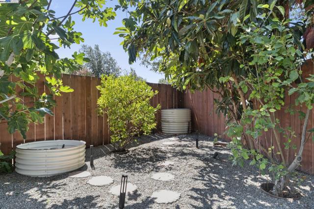 36523 Cherry St, Newark CA: https://media.crmls.org/mediaz/344980e8-28d9-4baf-868a-ee946575bbfb.jpg