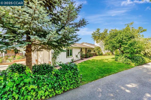 3338 Carlyle Ter, Lafayette CA: https://media.crmls.org/mediaz/344d3dd4-3435-4eed-8d7d-175fcee31675.jpg