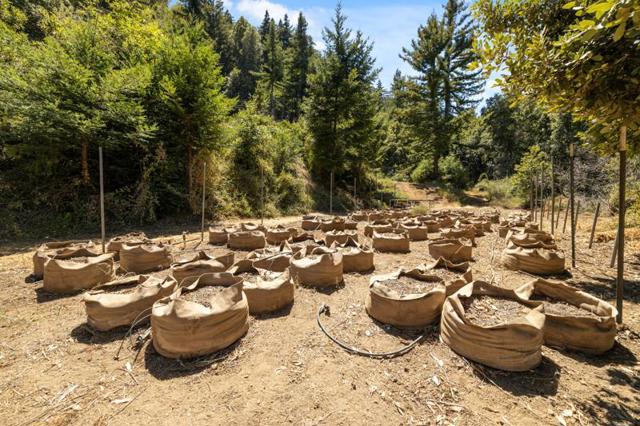 280 Sweetwater Lane, Ben Lomond CA: https://media.crmls.org/mediaz/345bba87-9703-4aa8-a034-d42536c4d722.jpg