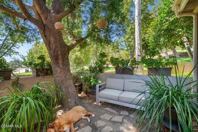202 Estrellita Lane, Oak Park CA: https://media.crmls.org/mediaz/347a32f6-b003-481d-9c31-cd09fb3bbca6.jpg