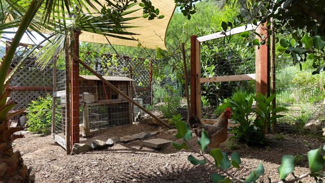 Detail Gallery Image 48 of 59 For 9237 Harmony Grove, Escondido,  CA 92029 - 3 Beds | 2/1 Baths